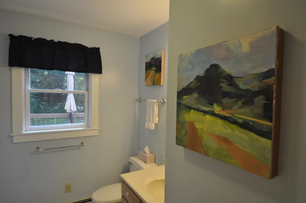 367 Carlen Street Manchester VT 05255