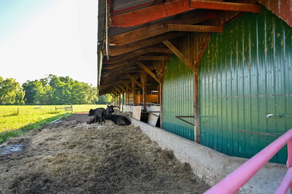 155 Burnham Drive Waltham VT 05491