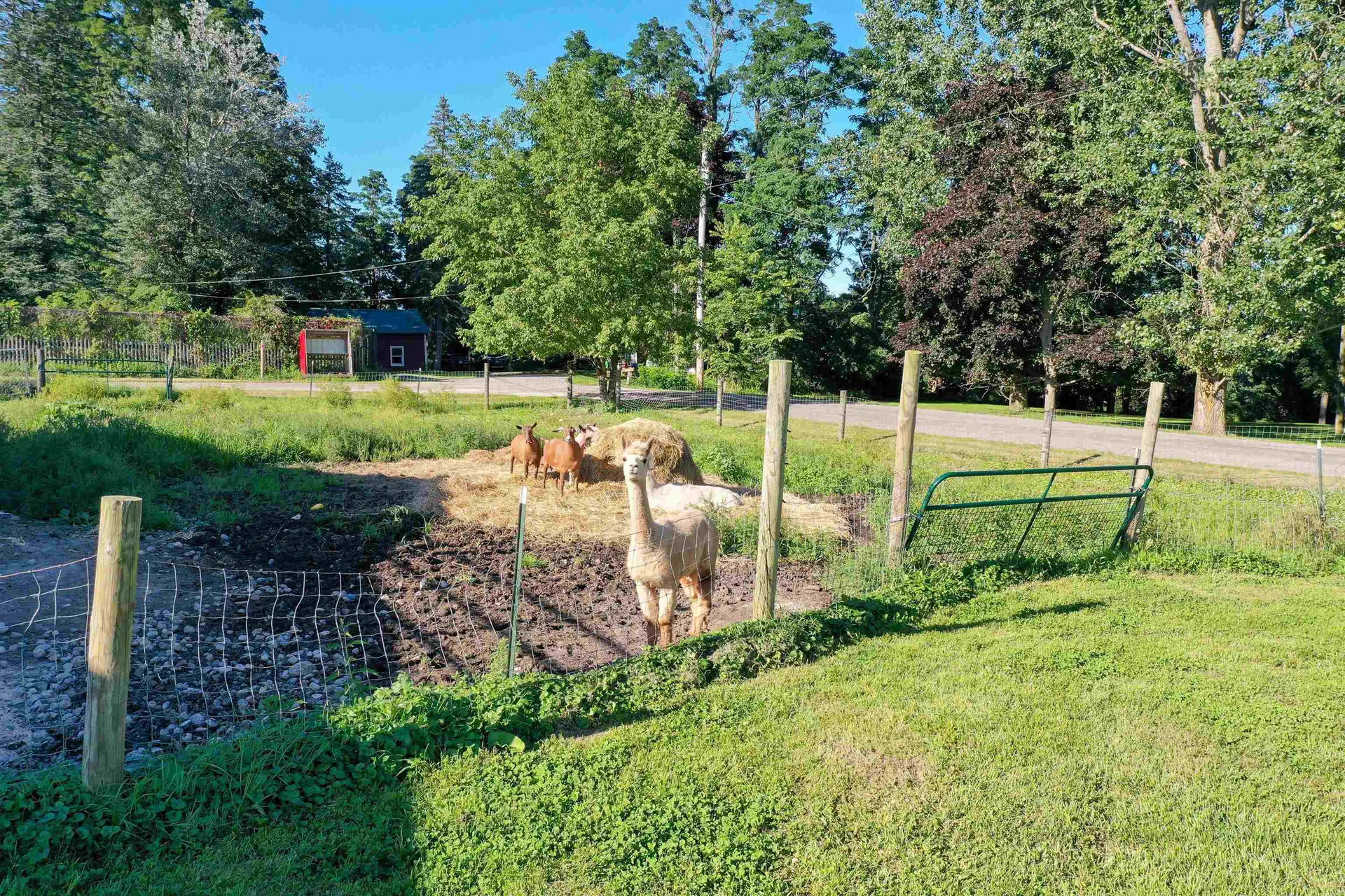 155 Burnham Drive Waltham VT 05491