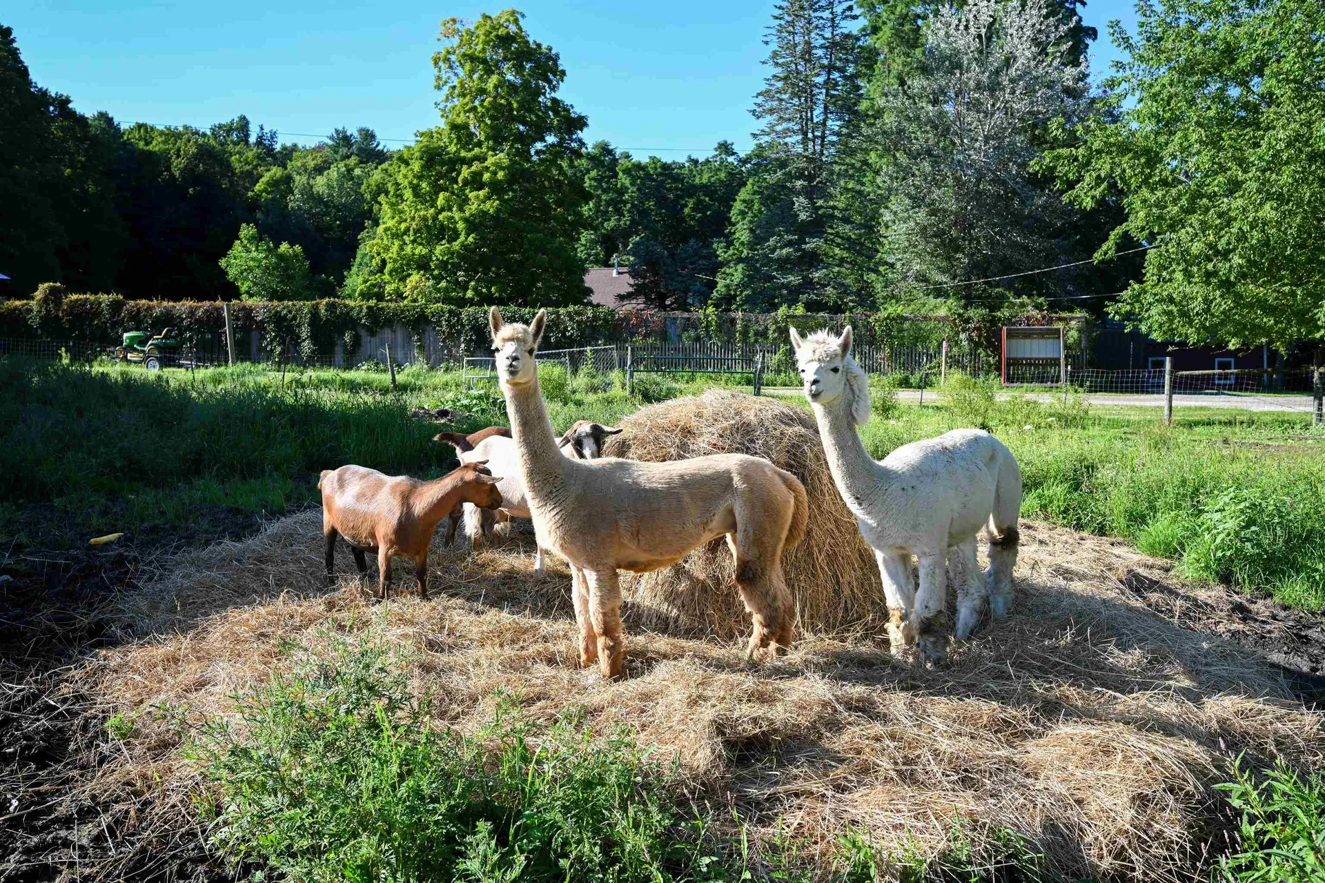 155 Burnham Drive Waltham VT 05491