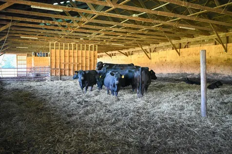 155 Burnham Drive Waltham VT 05491