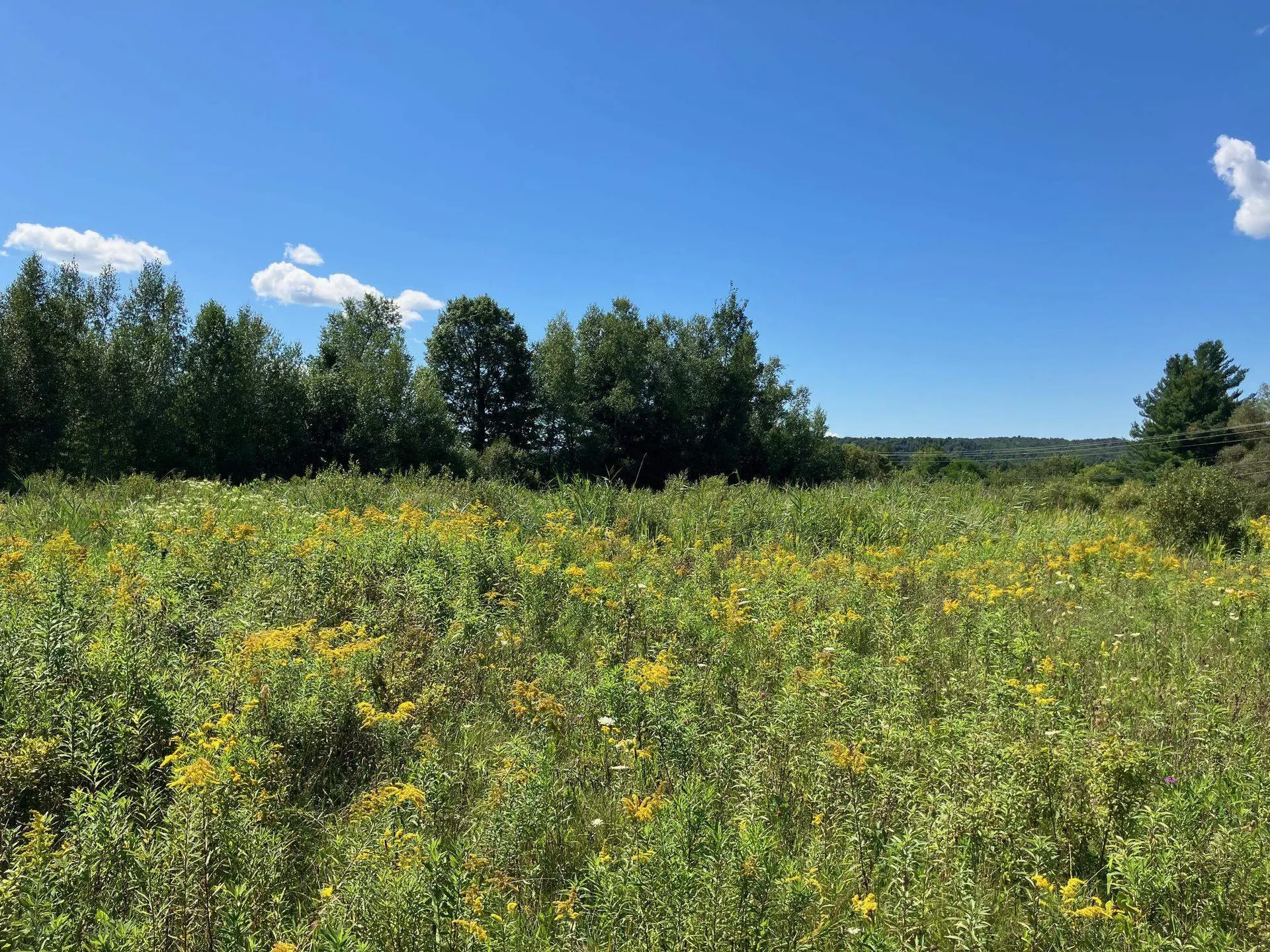 311, Lot 1 Main Street Richford VT 05476