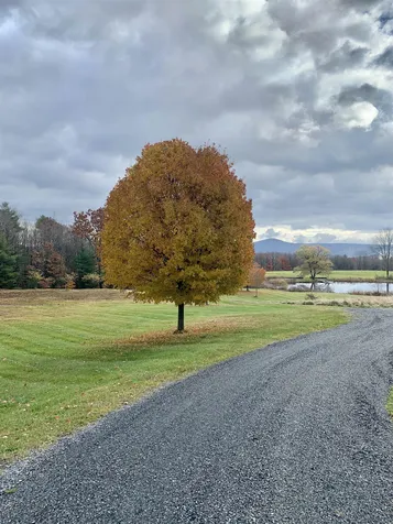 256 Walter Westney Road Springfield VT 05156