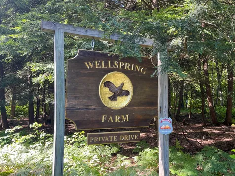 256 Walter Westney Road Springfield VT 05156