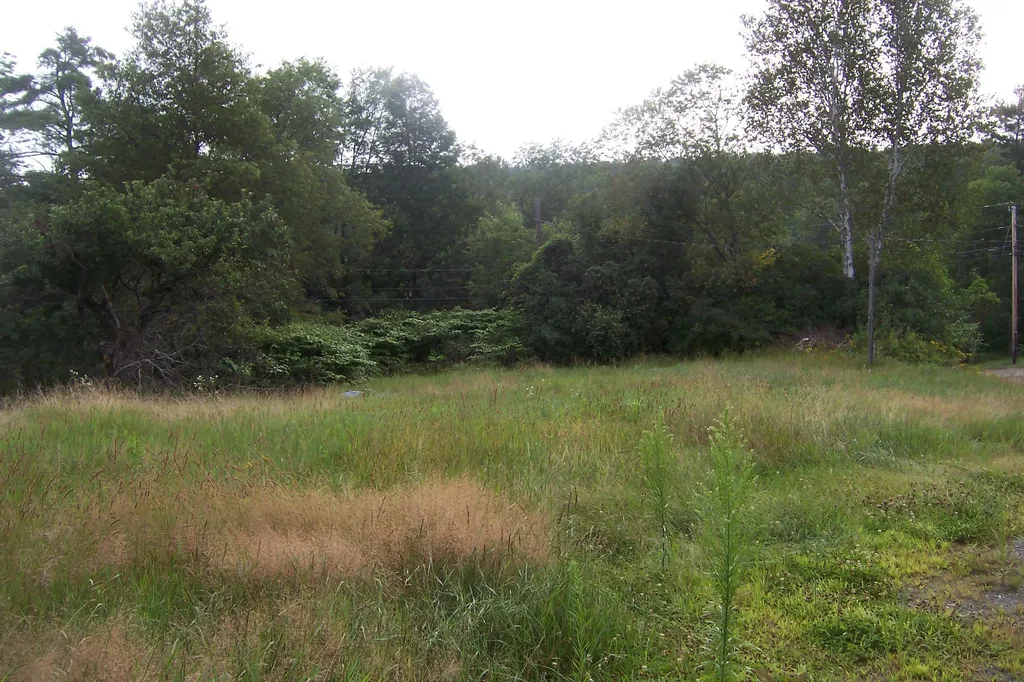 23 Grafton Turnpike Road Canaan NH 03741