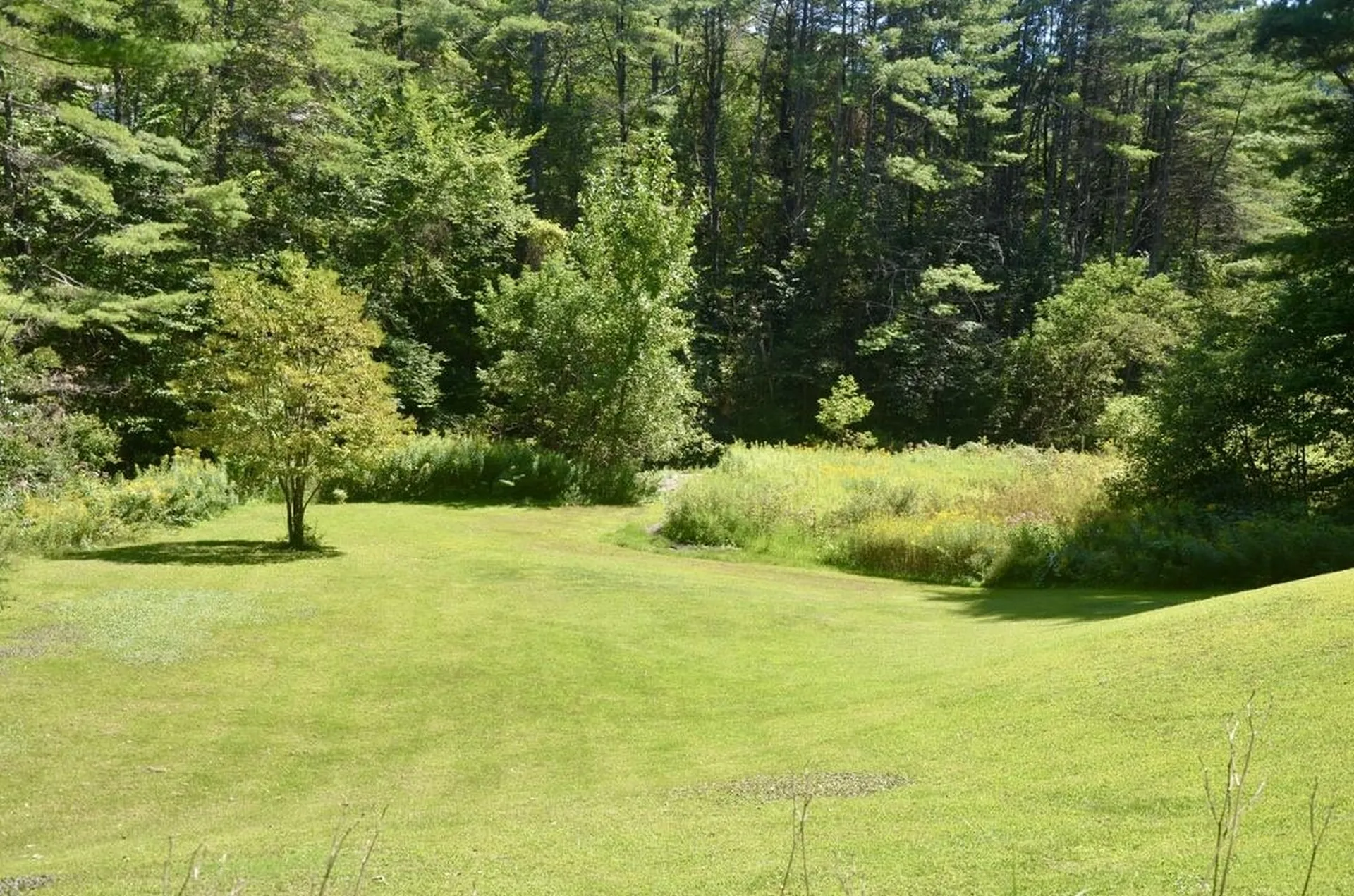 423 Fay Brook Road Sharon VT 05065