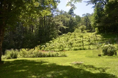 423 Fay Brook Road Sharon VT 05065