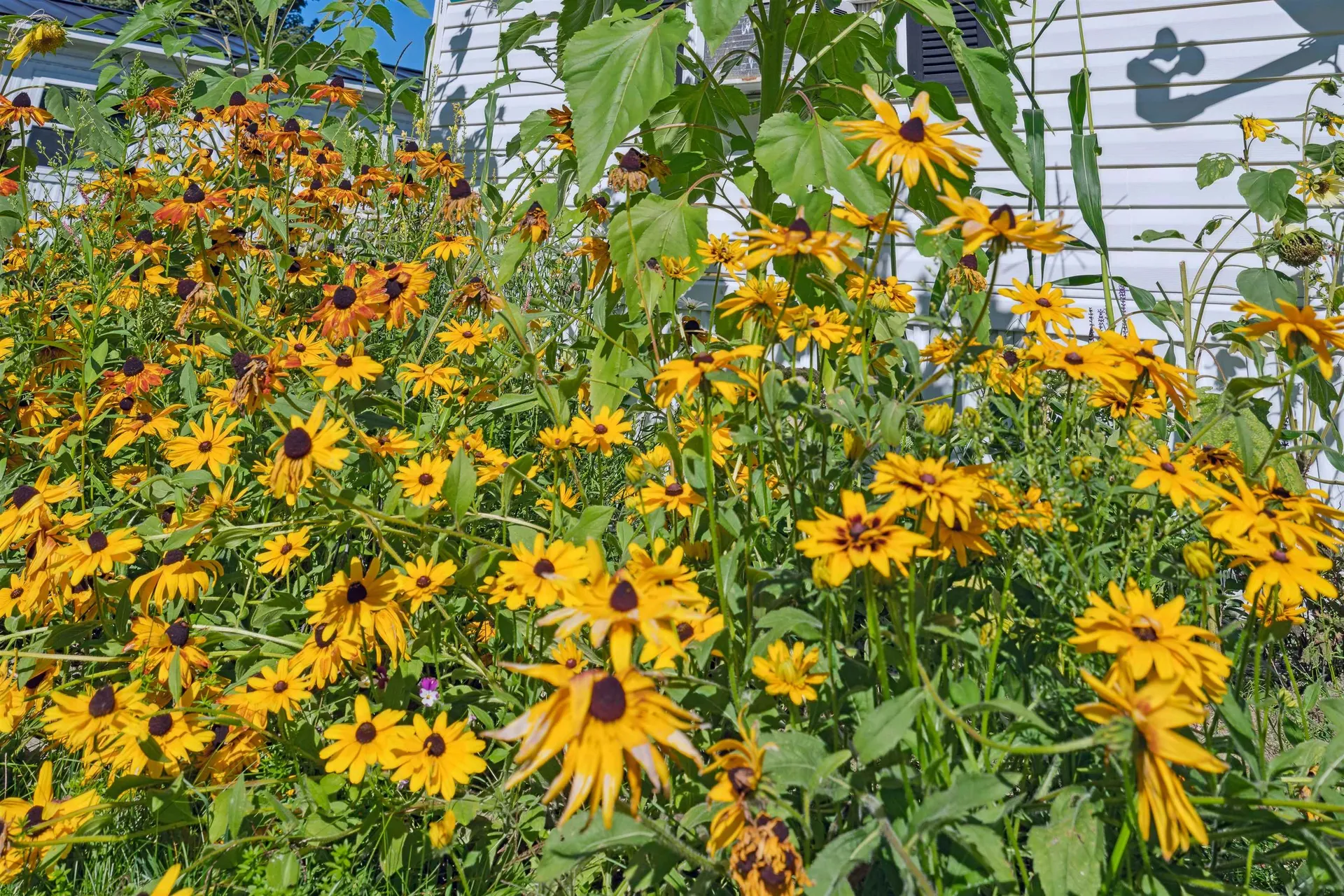 98 Riverbend Way Woodstock VT 05091