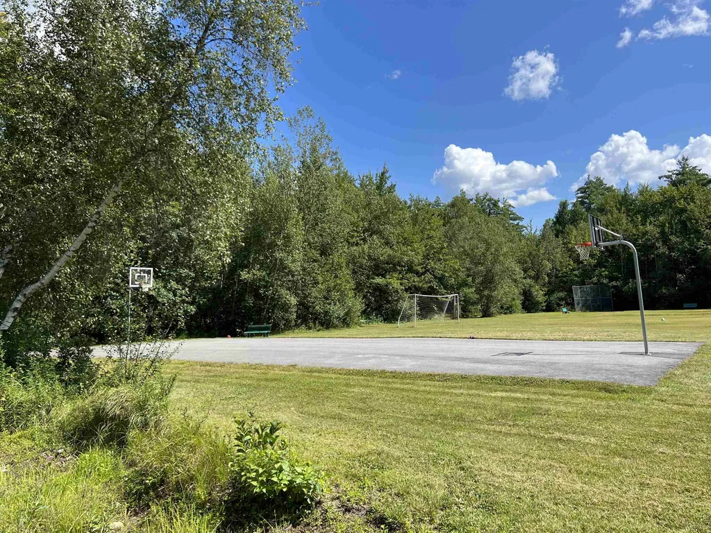 Lot 167 Deer Meadow Road Webster NH 03303