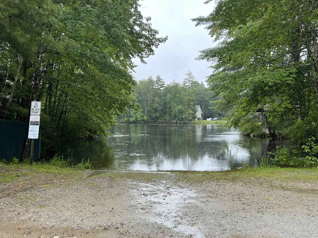 Lot 167 Deer Meadow Road Webster NH 03303
