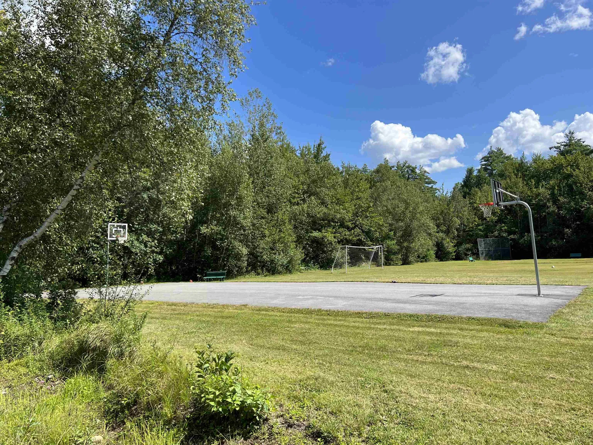 Lot 167 Deer Meadow Road Webster NH 03303