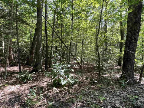 Lot 167 Deer Meadow Road Webster NH 03303