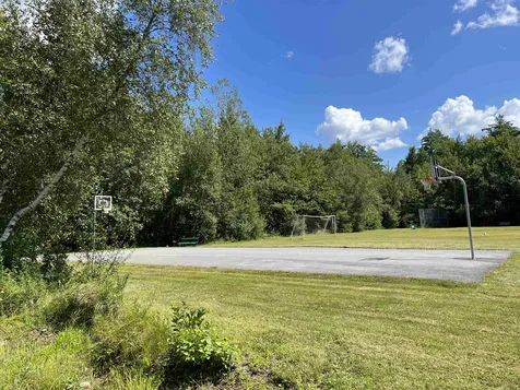 Lot 167 Deer Meadow Road Webster NH 03303