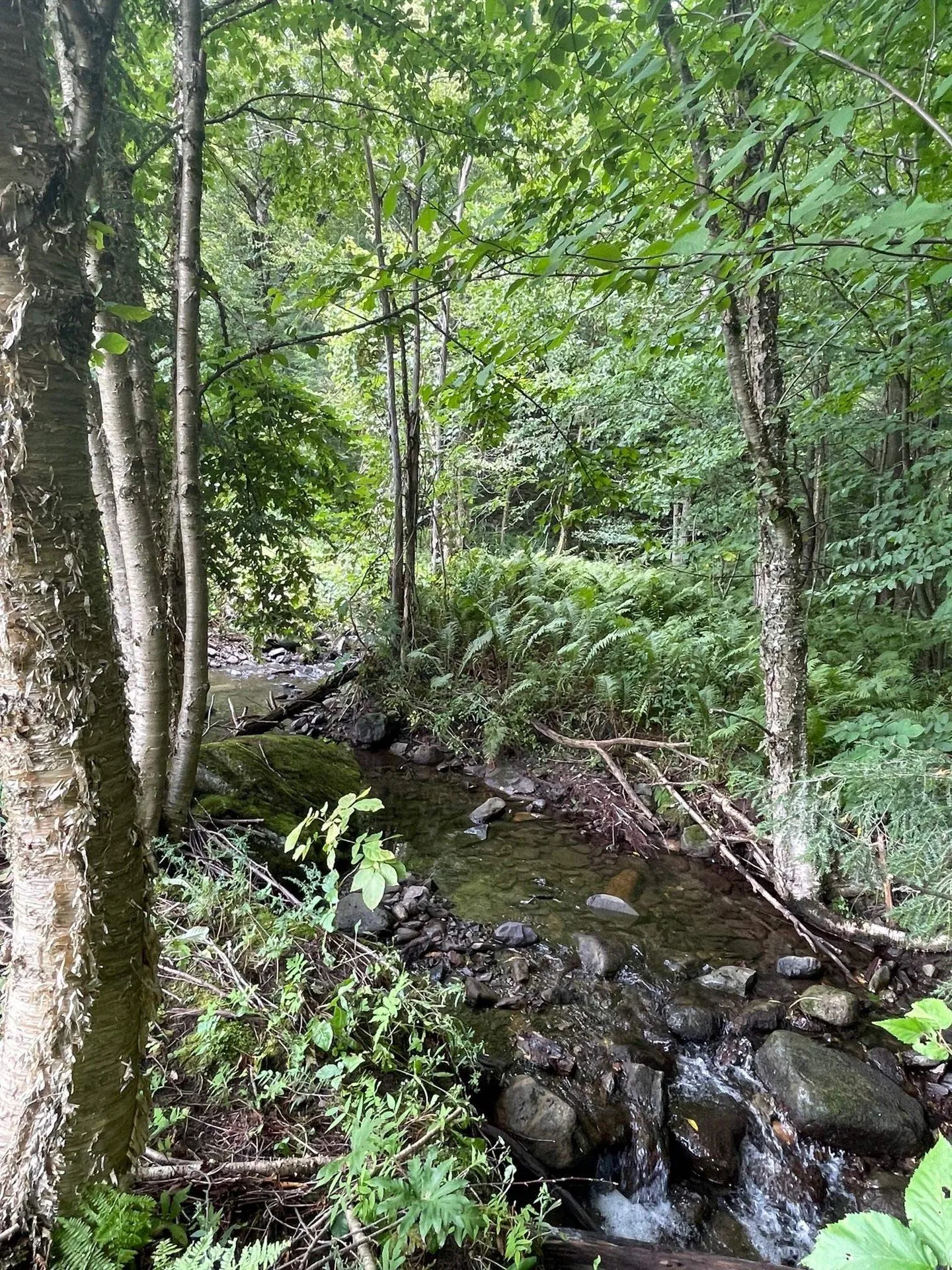 4179 Chester A. Arthur Road Fairfield VT 05450