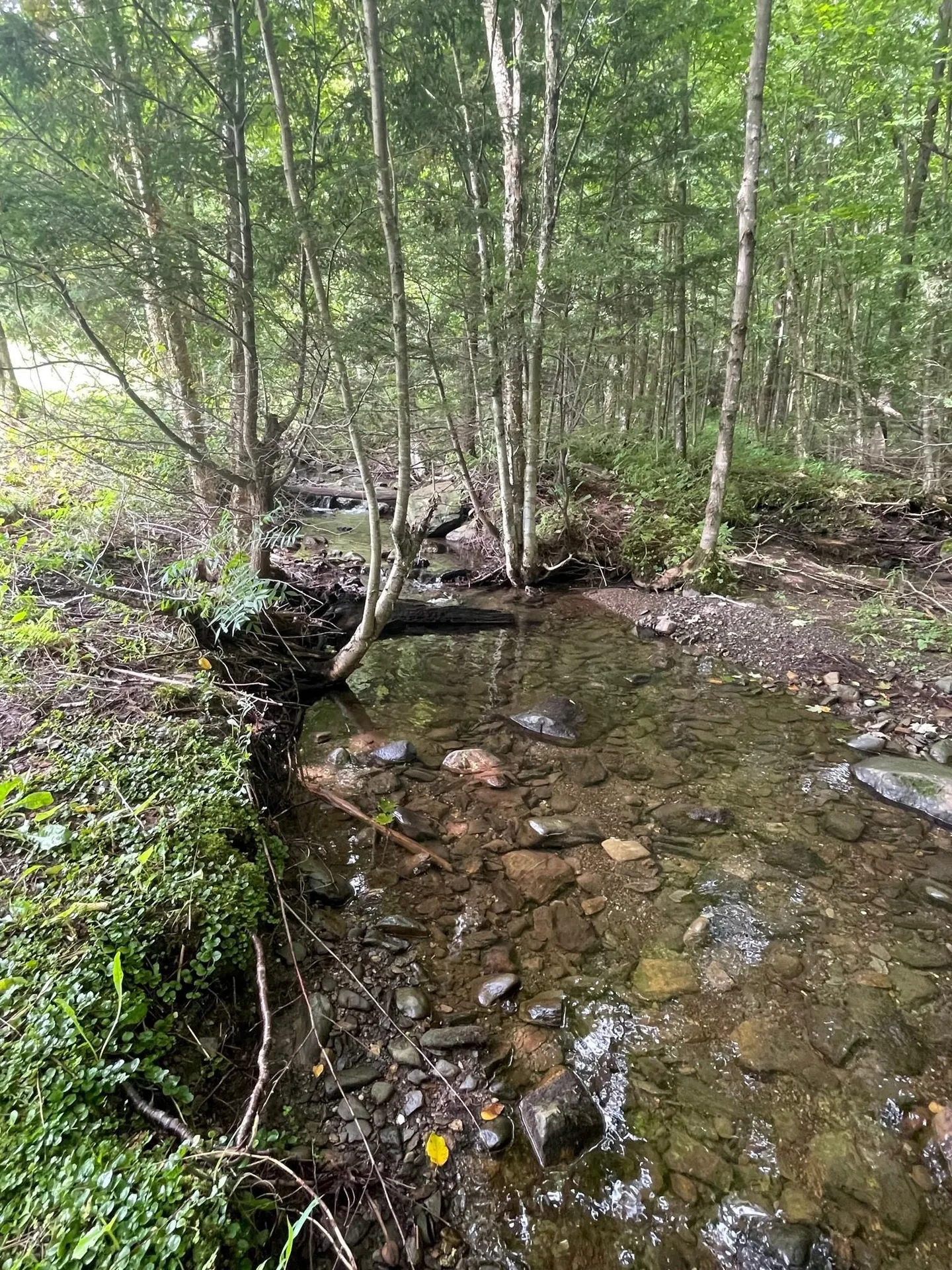 4179 Chester A. Arthur Road Fairfield VT 05450