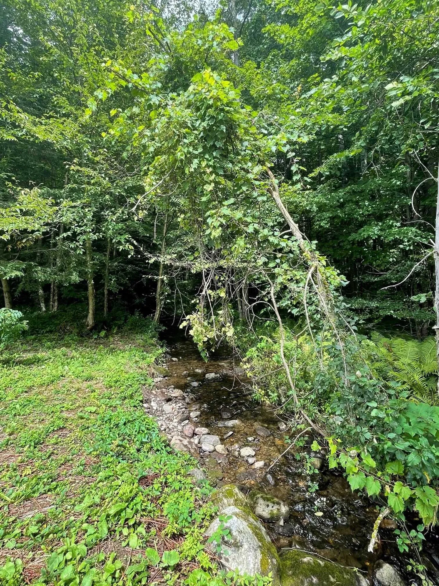 4179 Chester A. Arthur Road Fairfield VT 05450