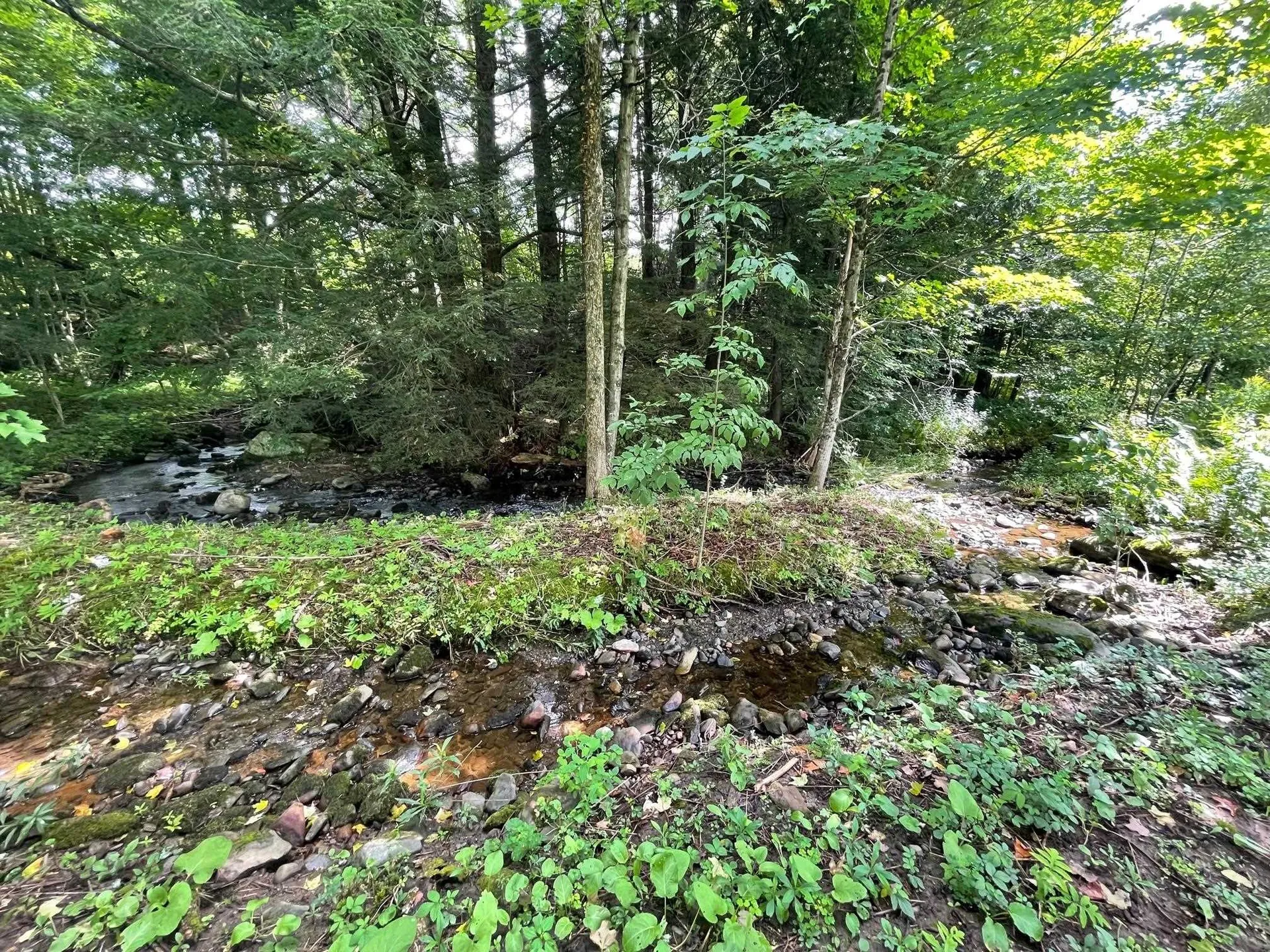 4179 Chester A. Arthur Road Fairfield VT 05450