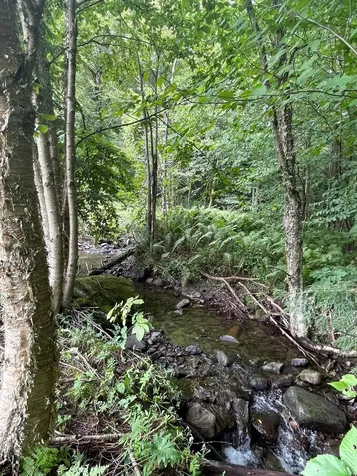 4179 Chester A. Arthur Road Fairfield VT 05450