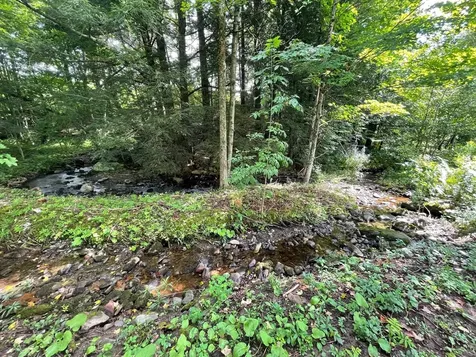 4179 Chester A. Arthur Road Fairfield VT 05450