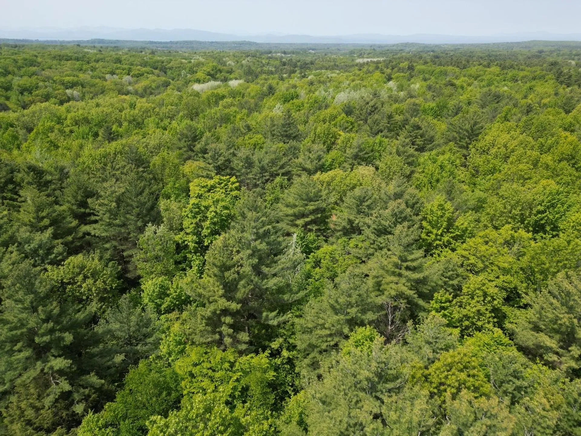 1745 Roosevelt Highway Colchester VT 05446