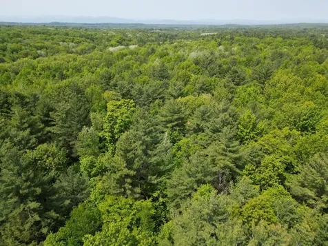 1745 Roosevelt Highway Colchester VT 05446