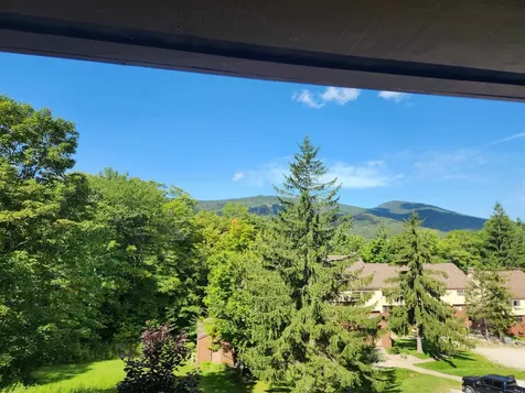 774 East Mountain Road Killington VT 05751