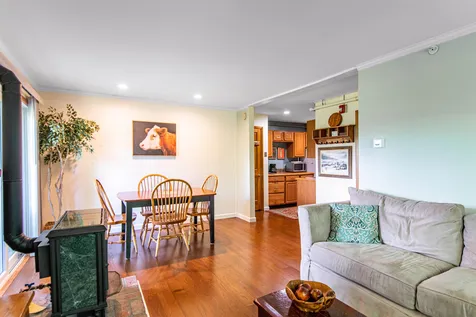 107 Mountainside Drive Stowe VT 05672