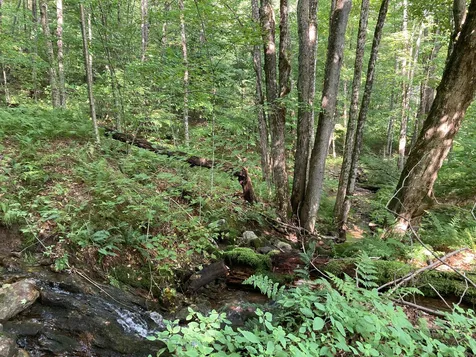 145 Hillside Terrace Rochester VT 05767