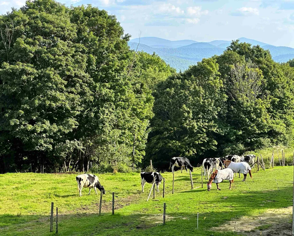 714 Churchill Road Cabot VT 05647