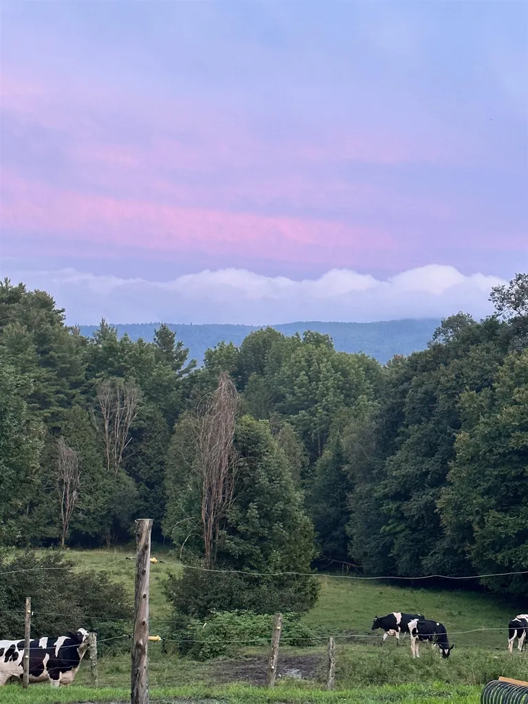 714 Churchill Road Cabot VT 05647