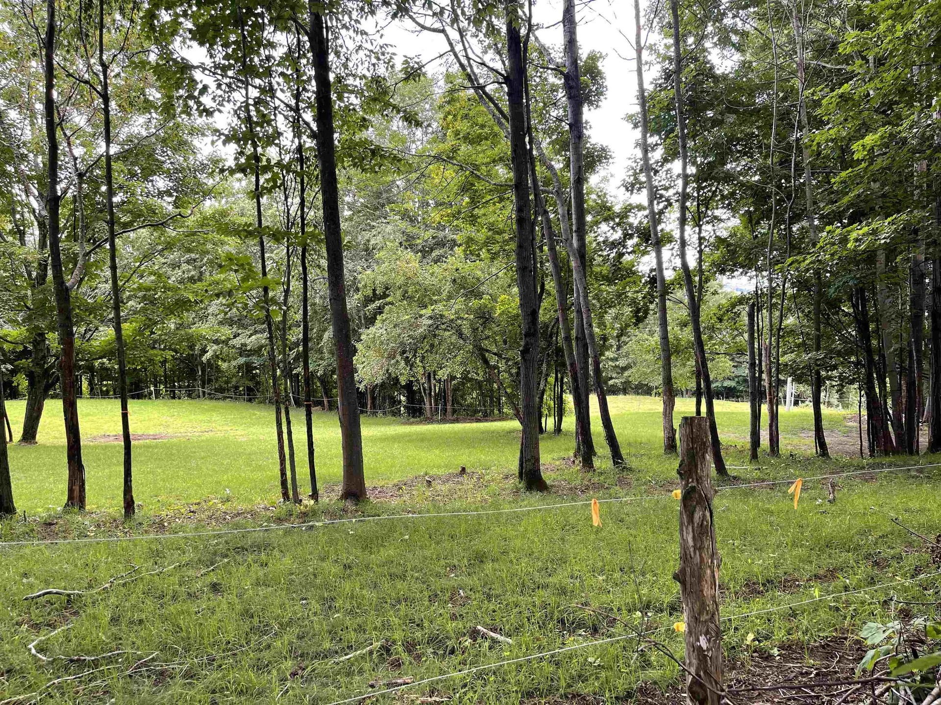 714 Churchill Road Cabot VT 05647