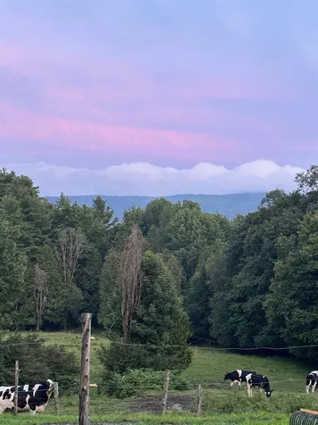 714 Churchill Road Cabot VT 05647