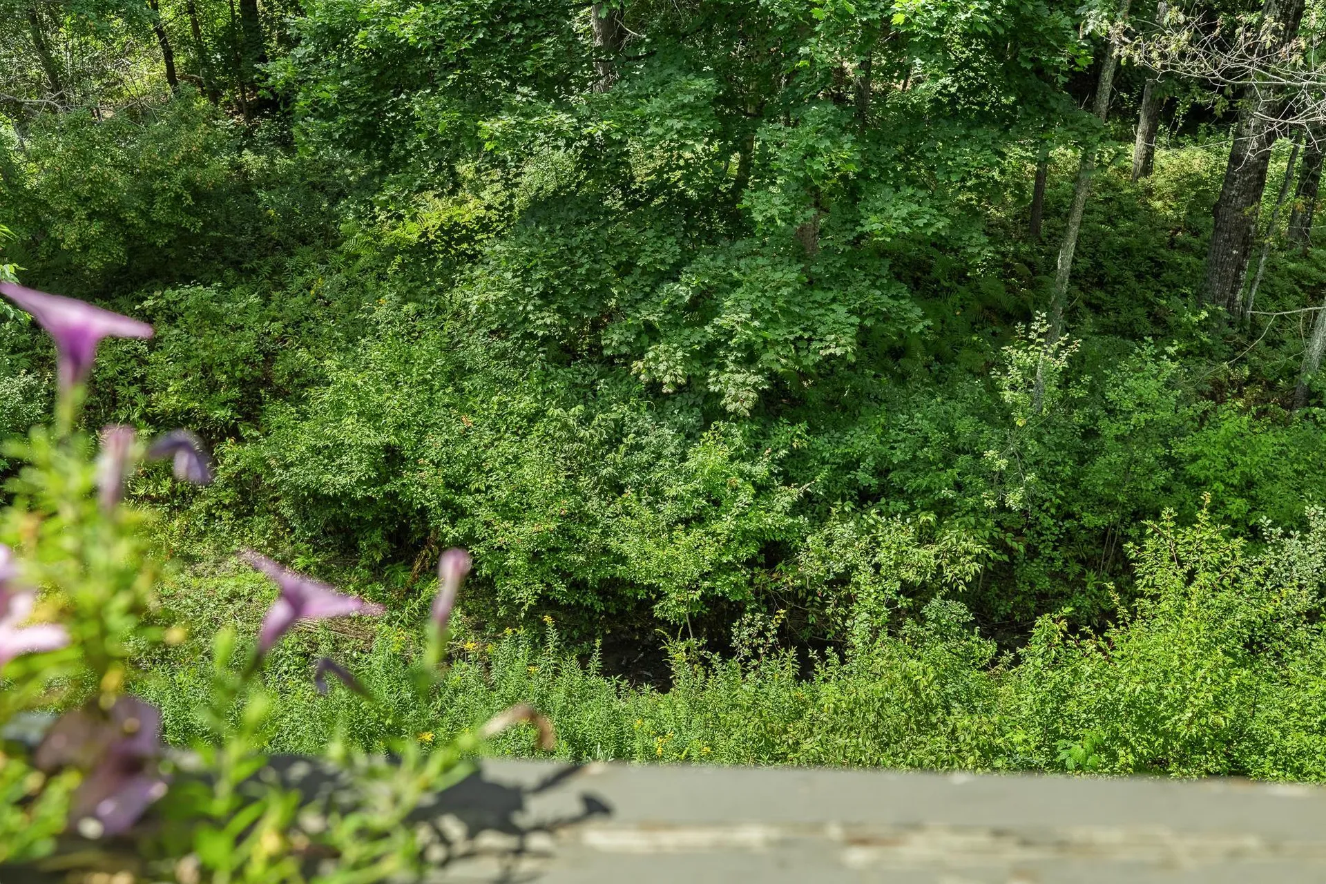 109 Brook Hollow Hanover NH 03755