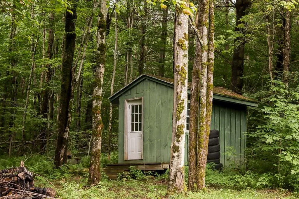 10 Hayes Road Goshen VT 05733