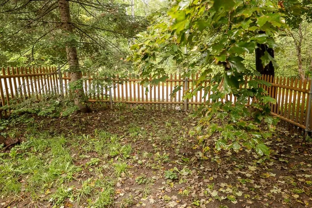 10 Hayes Road Goshen VT 05733