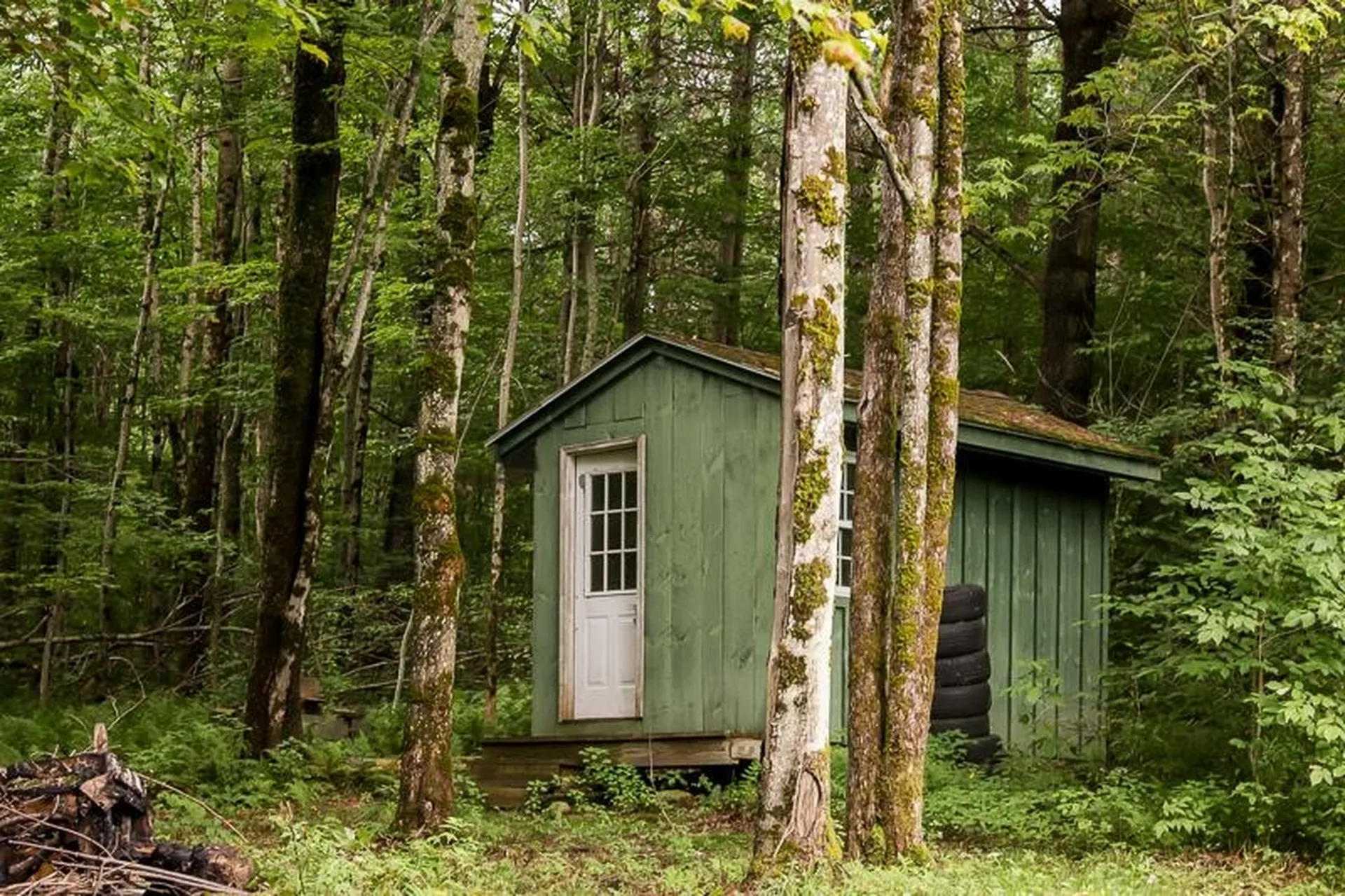 10 Hayes Road Goshen VT 05733