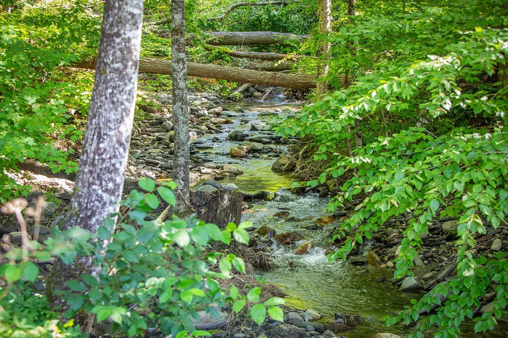 6531 Route 12 Barnard VT 05031