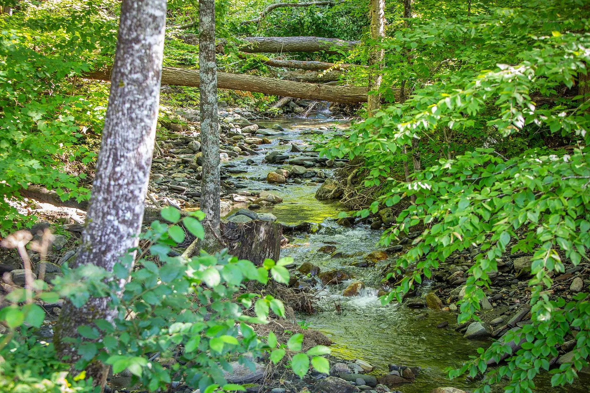 6531 Route 12 Barnard VT 05031