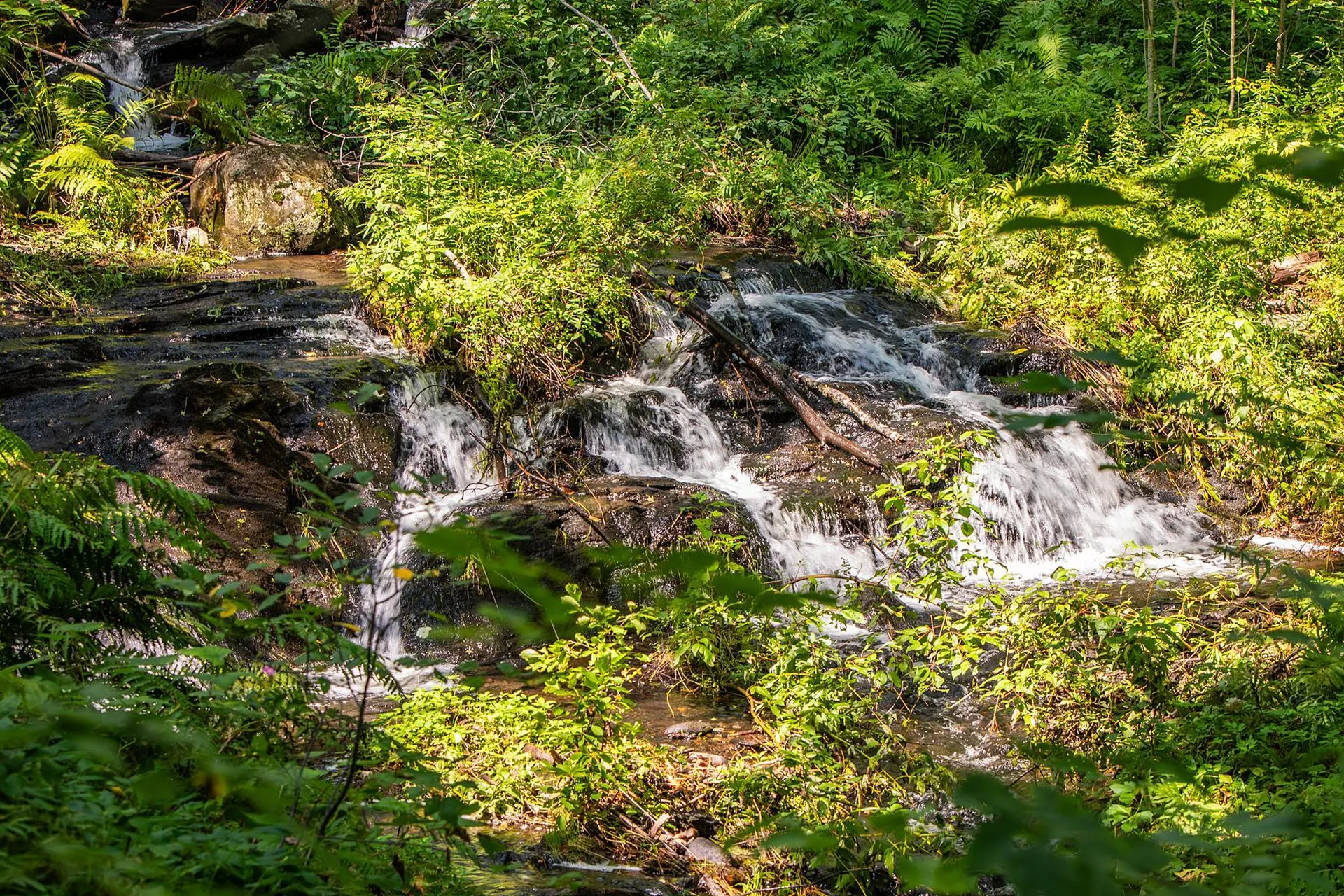 2876 Hartland Hill Road Woodstock VT 05091