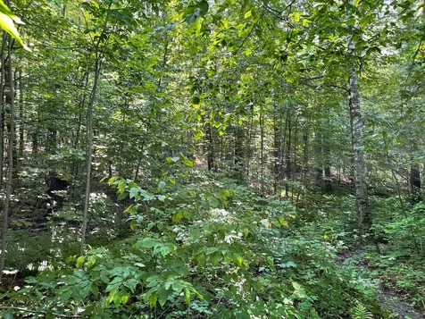 0 Cemetery Street Brookfield VT 05036