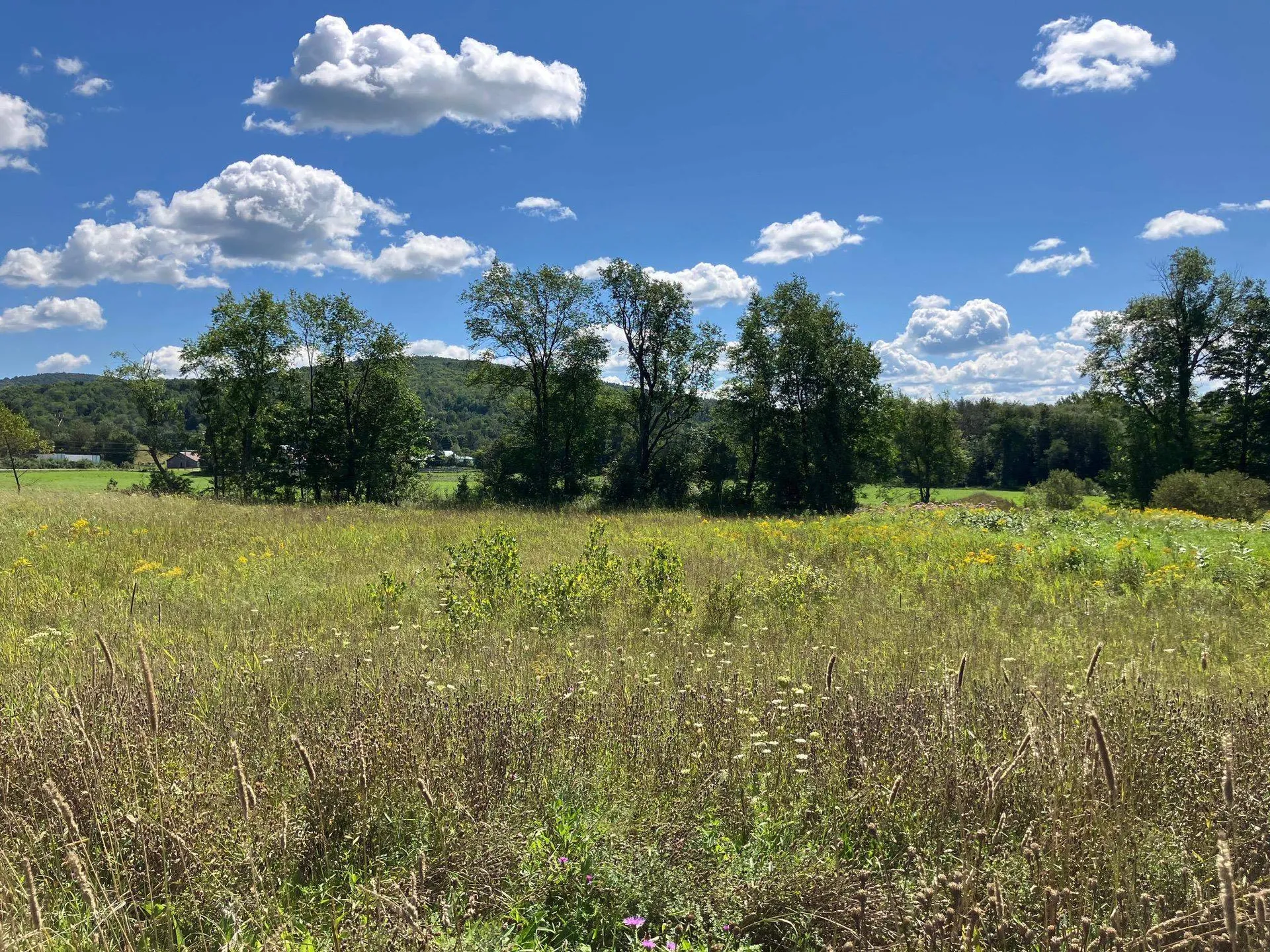 311, Lot 6 Main Street Richford VT 05476