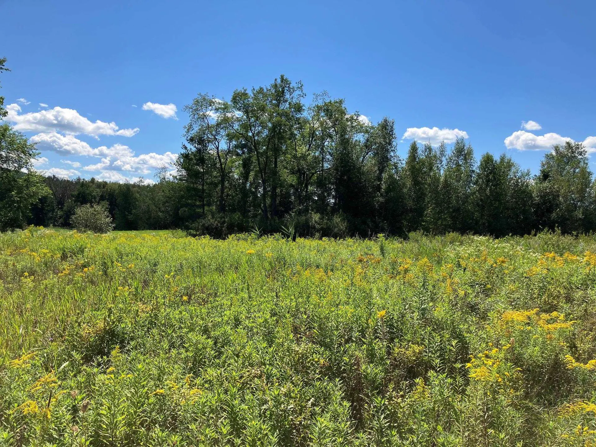 311, Lot 4 Main Street Richford VT 05476