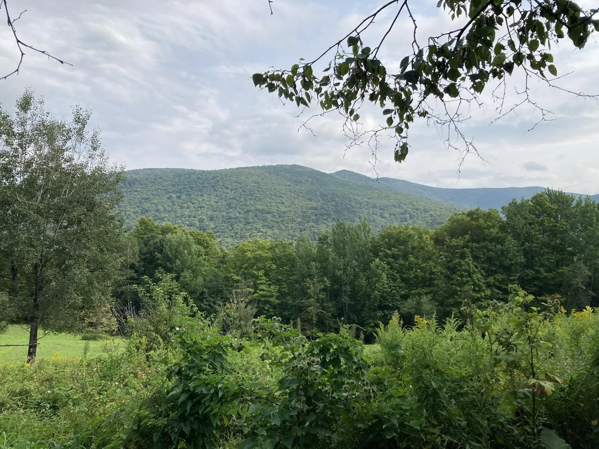119 Hillside Terrace Rochester VT 05767