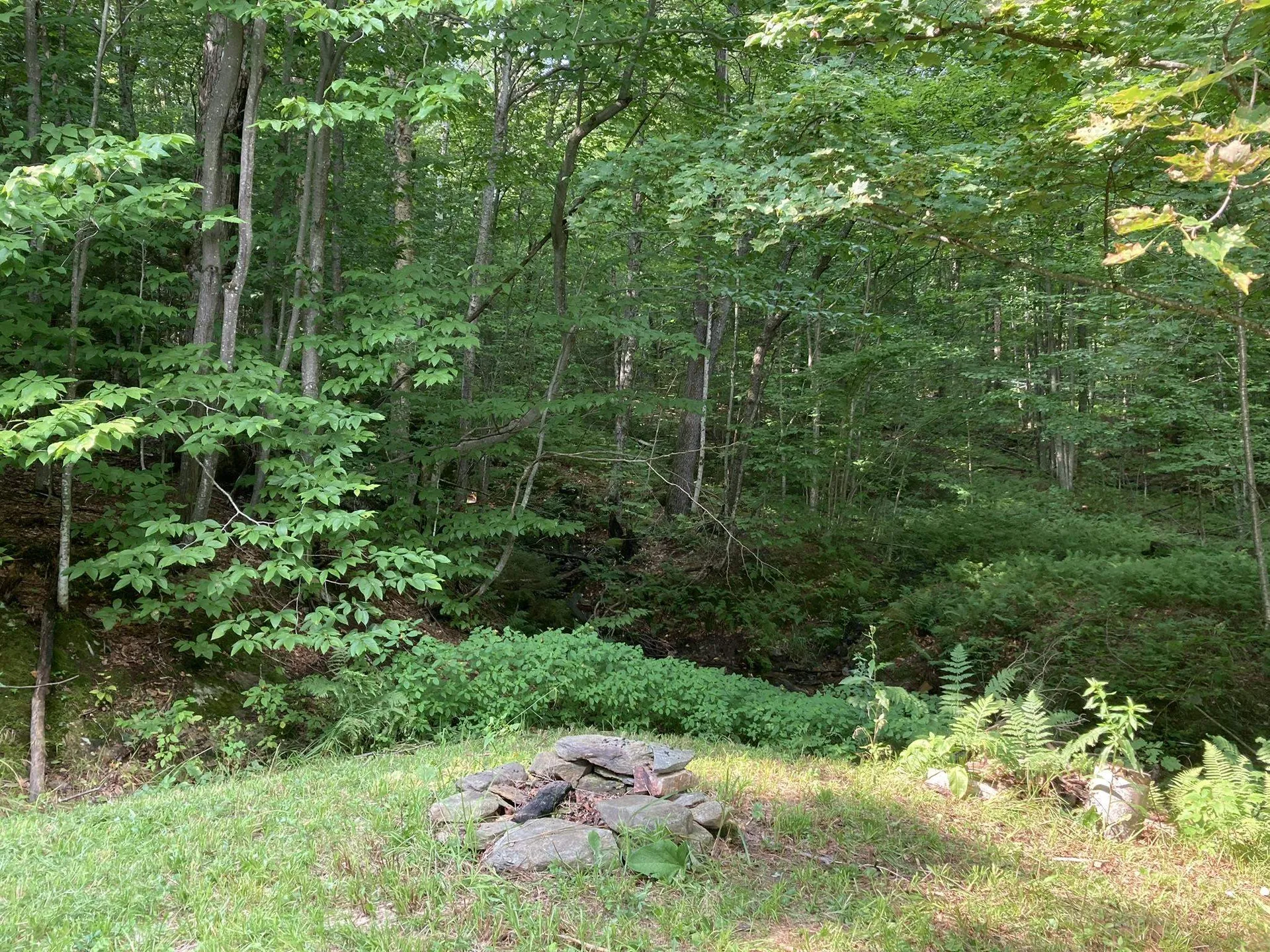 119 Hillside Terrace Rochester VT 05767