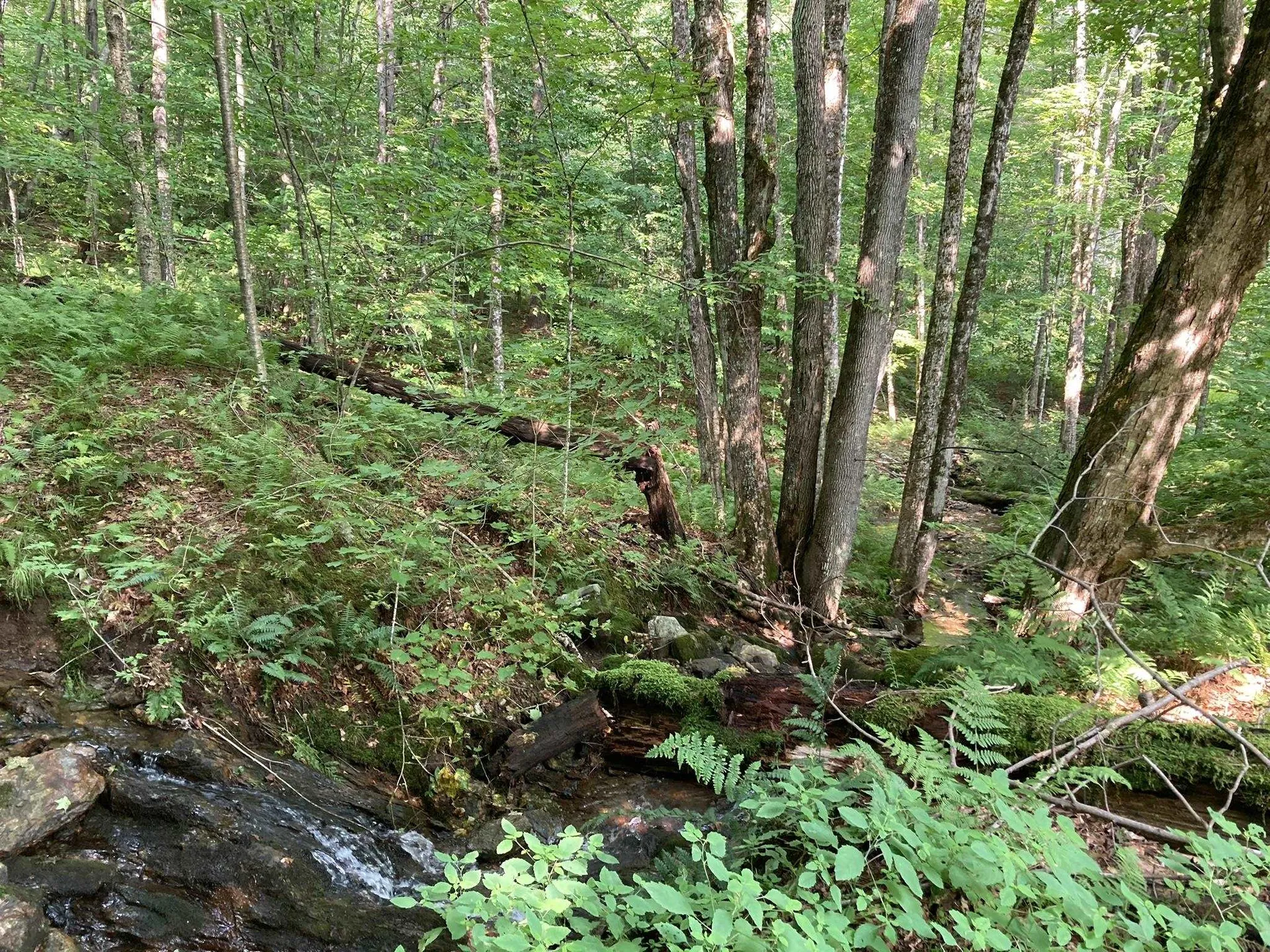 119 Hillside Terrace Rochester VT 05767