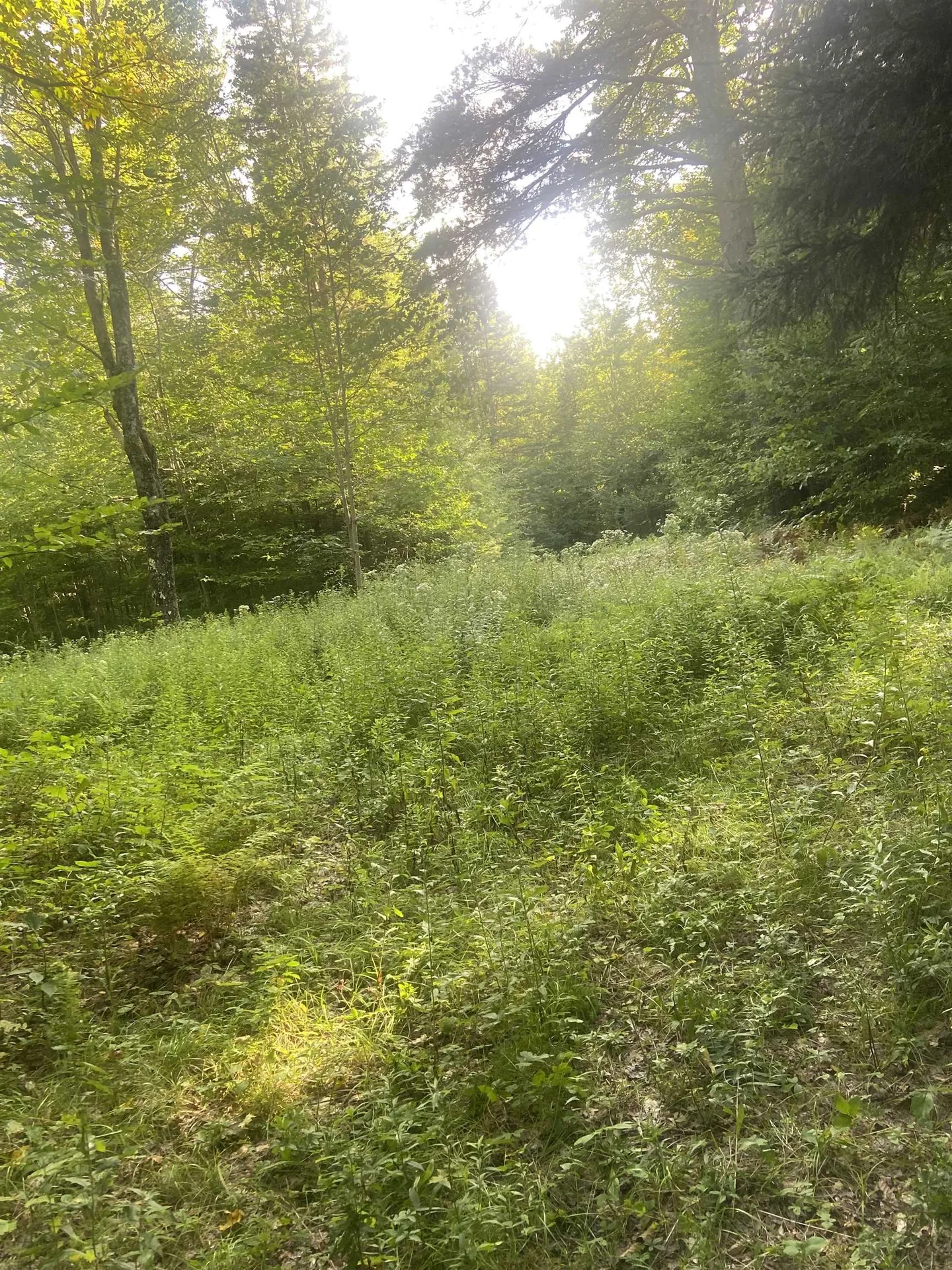 1138 South Road Peru VT 05152