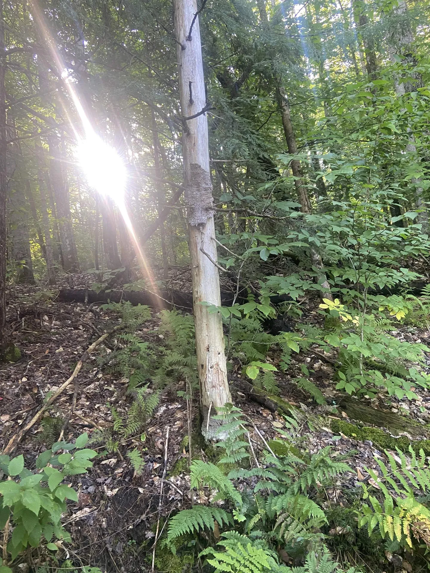 1138 South Road Peru VT 05152