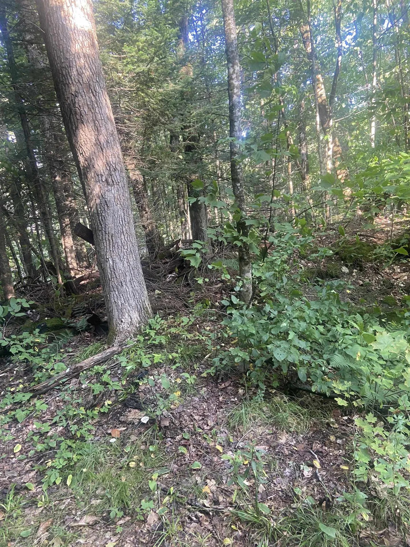 1138 South Road Peru VT 05152