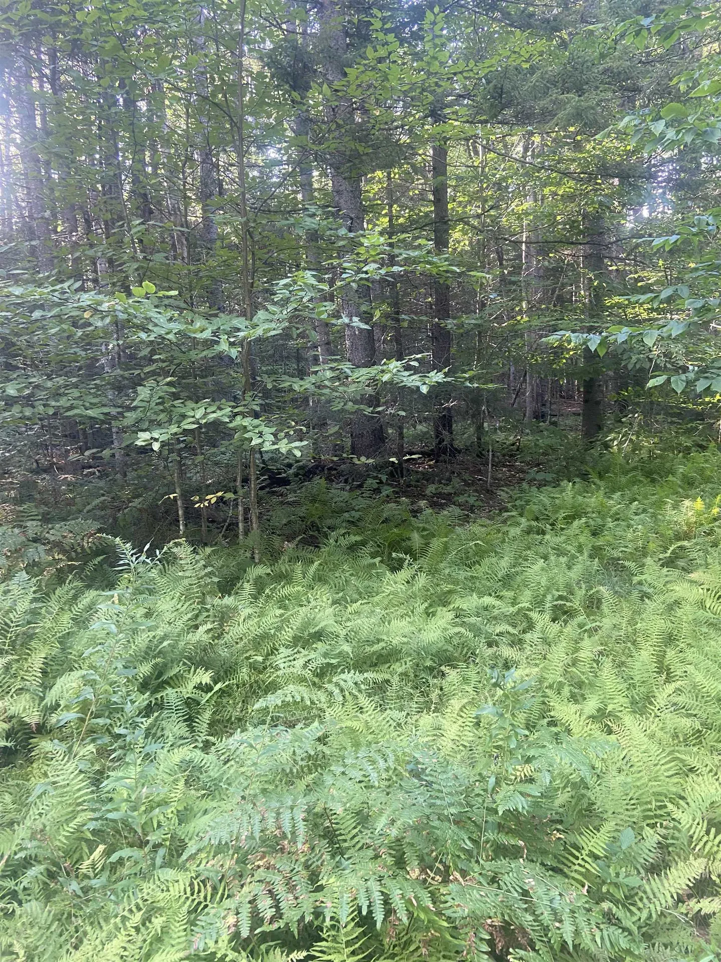 1138 South Road Peru VT 05152