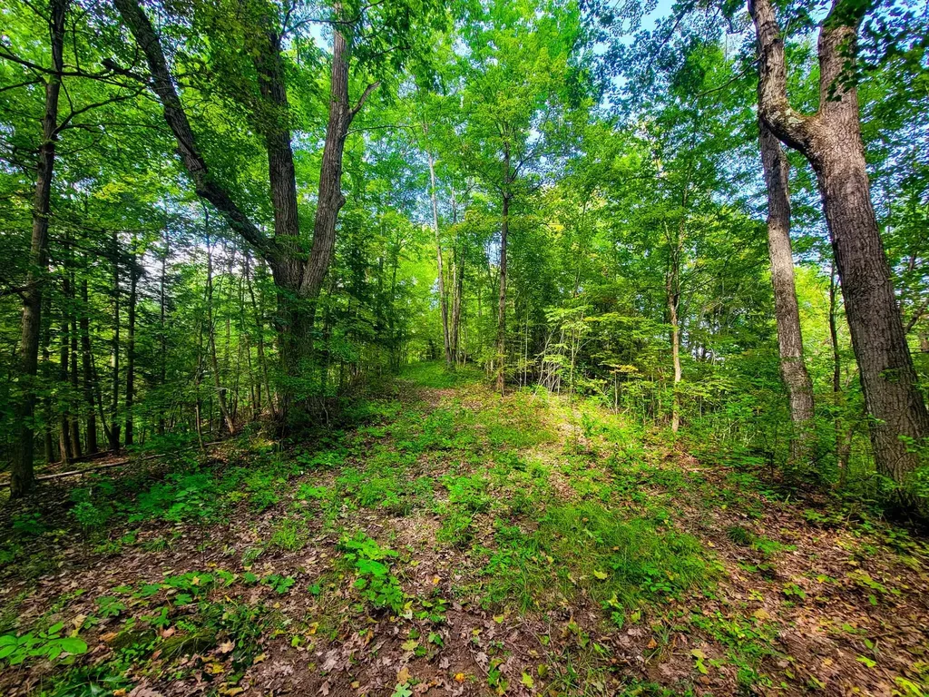4547 Route 74 Shoreham VT 05770